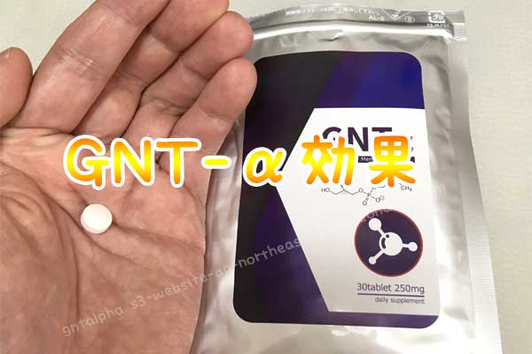 GNT- 